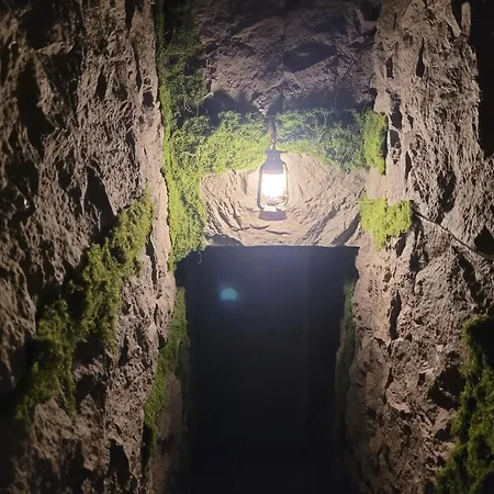 La Comte A Pansiyon *